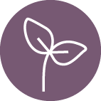 plantbaes logo purple